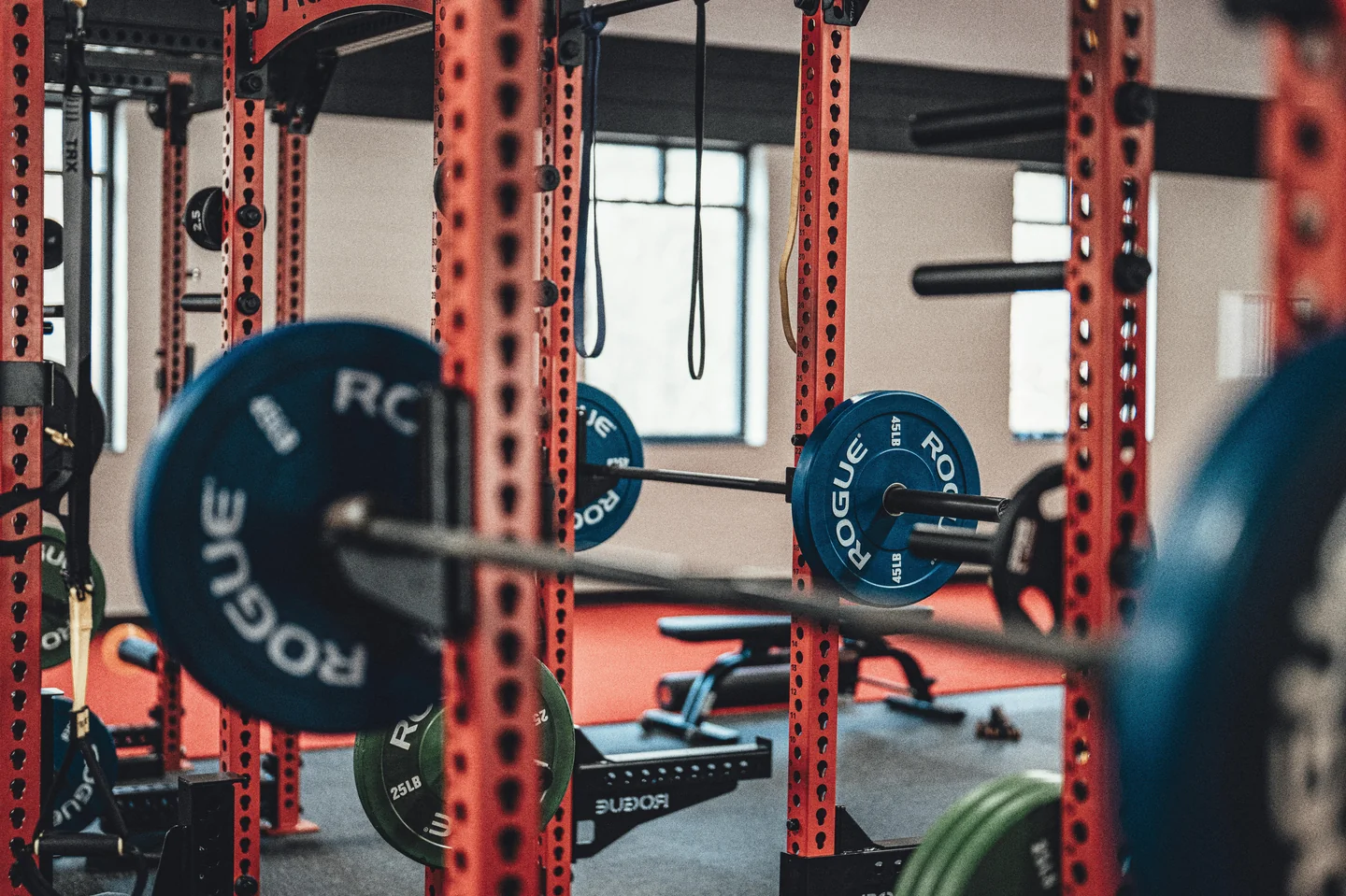 A row of Rogue squat racks loaded with barbells in a well-equipped gym